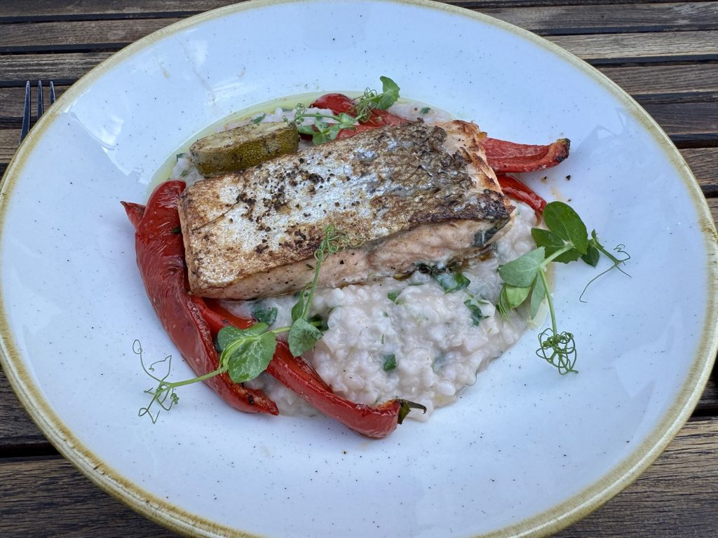 Lachs mit Zitrusrisotto und Spitzpaprika im Mogli's in Dorfen